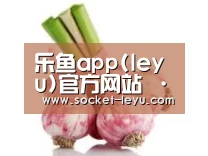 产品名称七