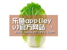 产品名称一
