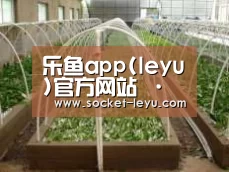 环境展示五