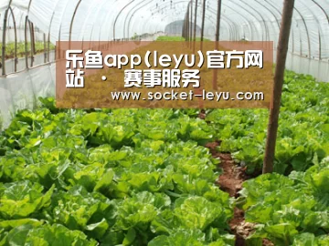 种植基地五