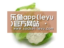 产品名称九