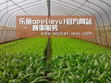 种植基地四
