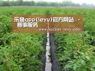 种植基地三