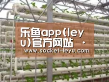 环境展示六