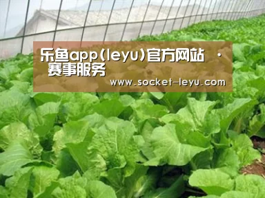 种植基地一