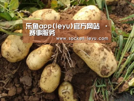 种植基地六