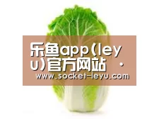 产品名称一(图1)