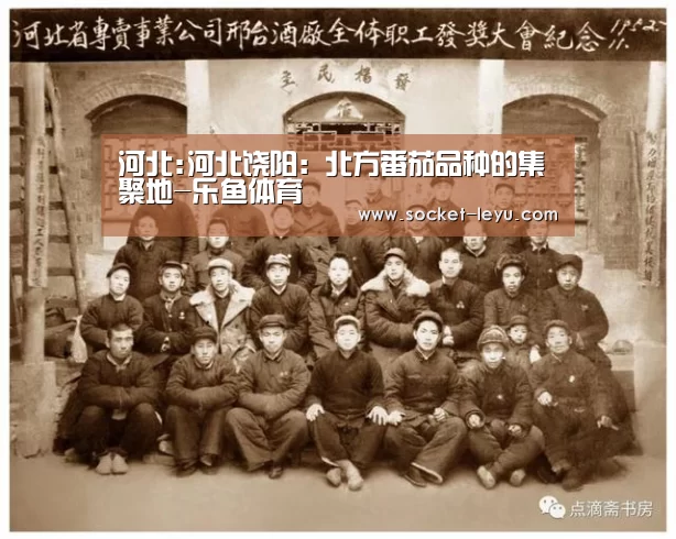 河北:河北饶阳:北方番茄品种的集聚地-乐鱼体育(图1) 乐鱼官方网站地址