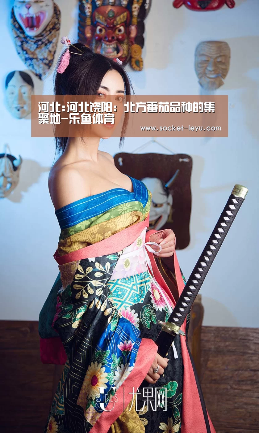 河北:河北饶阳:北方番茄品种的集聚地-乐鱼体育(图3) 乐鱼官方网站地址