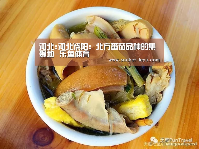 河北:河北饶阳:北方番茄品种的集聚地-乐鱼体育(图4) 乐鱼官方网站地址