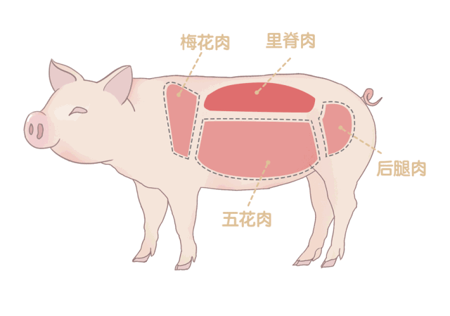 乐鱼体育