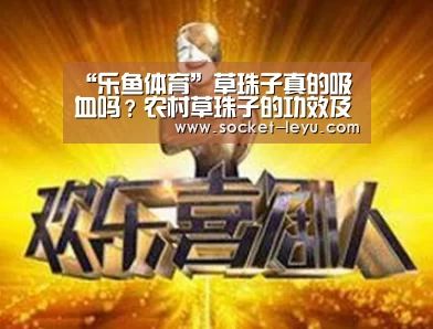 “乐鱼体育”草珠子真的吸血吗?农村草珠子的功效及用途(图2) 电竞竞猜