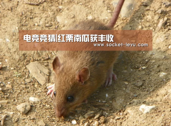 乐鱼体育
