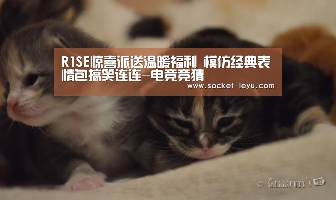 R1SE惊喜派送温暖福利 模仿经典表情包搞笑连连-电竞竞猜(图1) 乐鱼官方网站地址