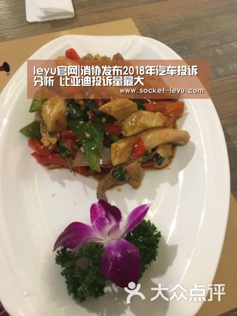 leyu官网|消协发布2018年汽车投诉分析 比亚迪投诉量最大(图3) 乐鱼体育