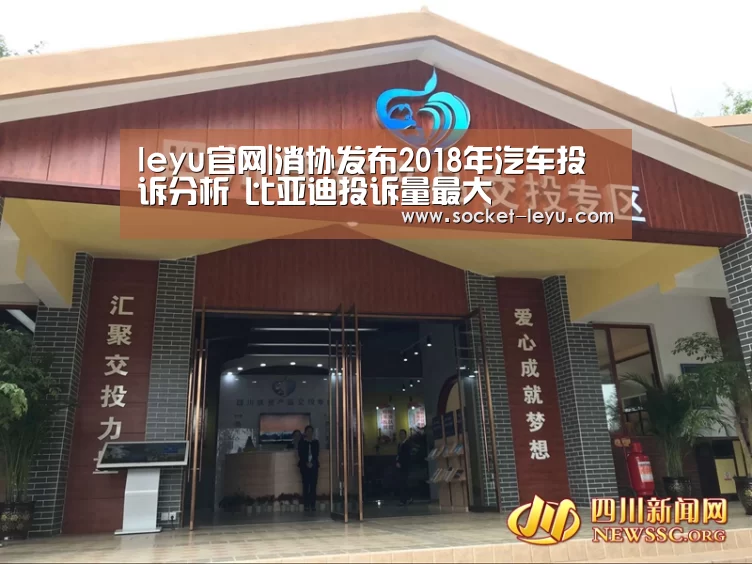 leyu官网|消协发布2018年汽车投诉分析 比亚迪投诉量最大(图2) 乐鱼体育